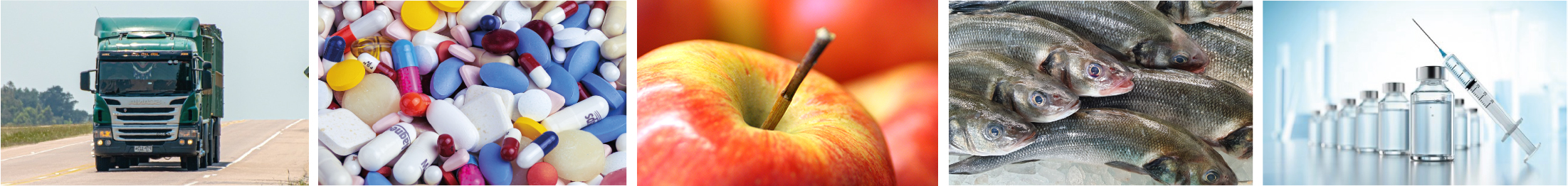 elektroniczny rejestrator temperatury do kontenerów Green Keeper online GSM 4G Real-Time